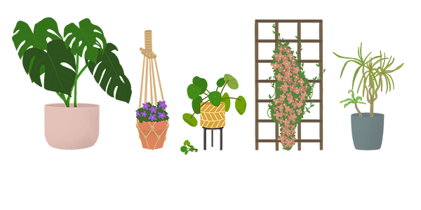 Logo Plantleven